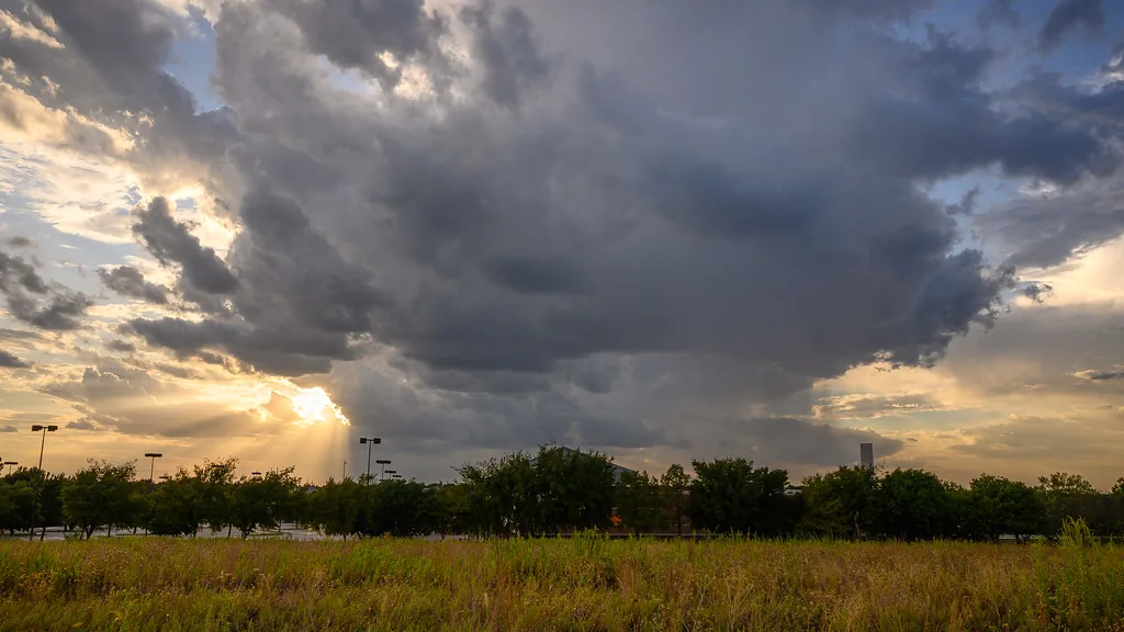 Late-summer prairie grasses and small yellow wildflowers at the Flower Mound beneath a sunset sky